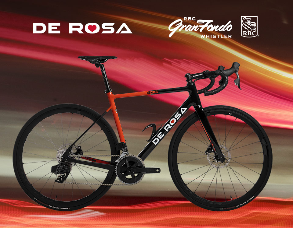 De Rosa 838 bike